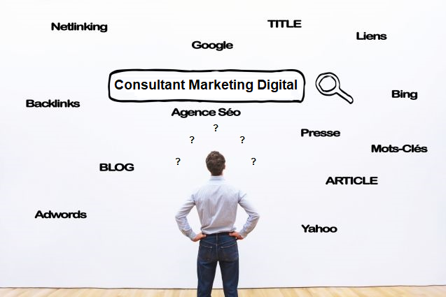 Consultant Marketing Digital