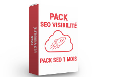 pack_seo_visibilite_220x150